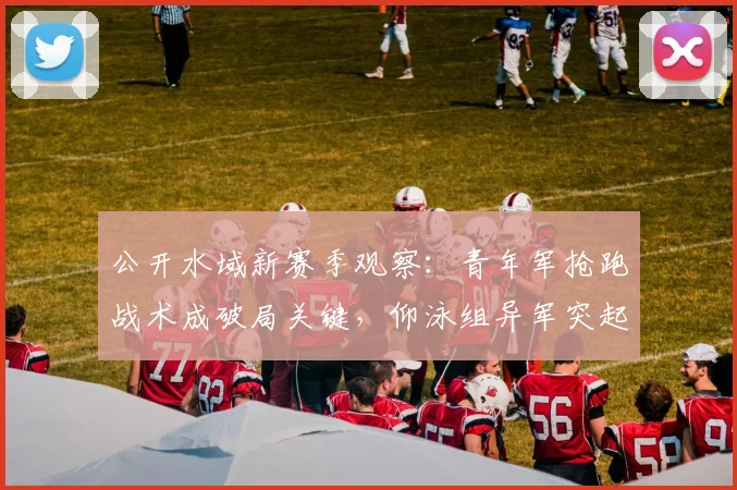 公开水域新赛季观察:青年军抢跑战术成破局关键,仰泳组异军突起