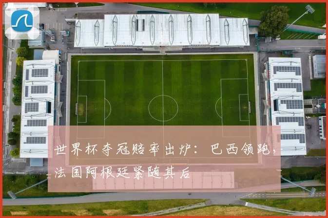 世界杯夺冠赔率出炉：巴西领跑，法国阿根廷紧随其后